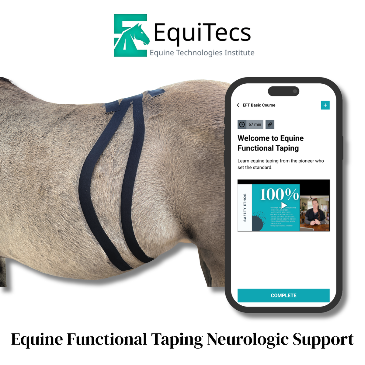 EquiTecs EFT Application Library - App