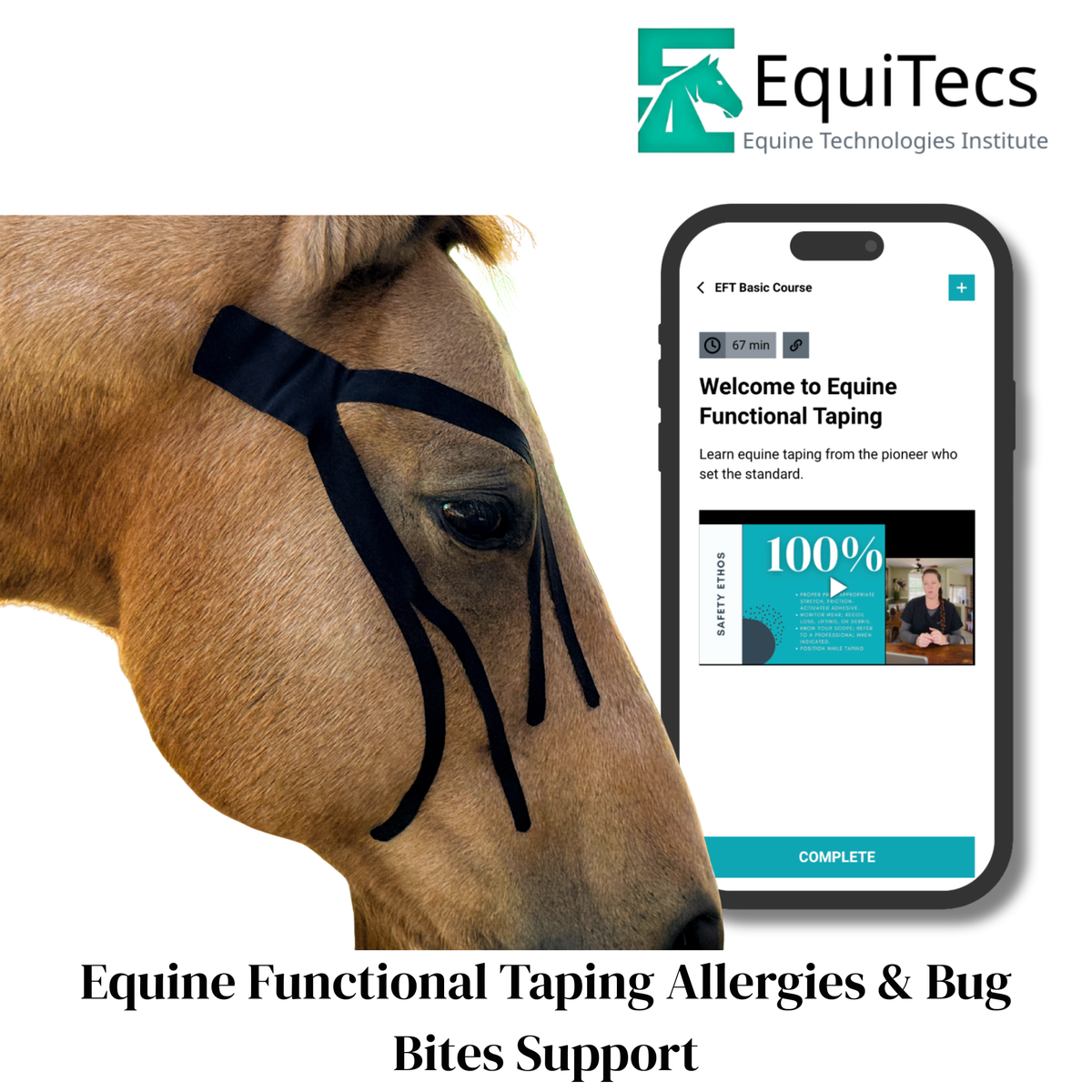 EFT Allergies &amp; Bug Bites Support