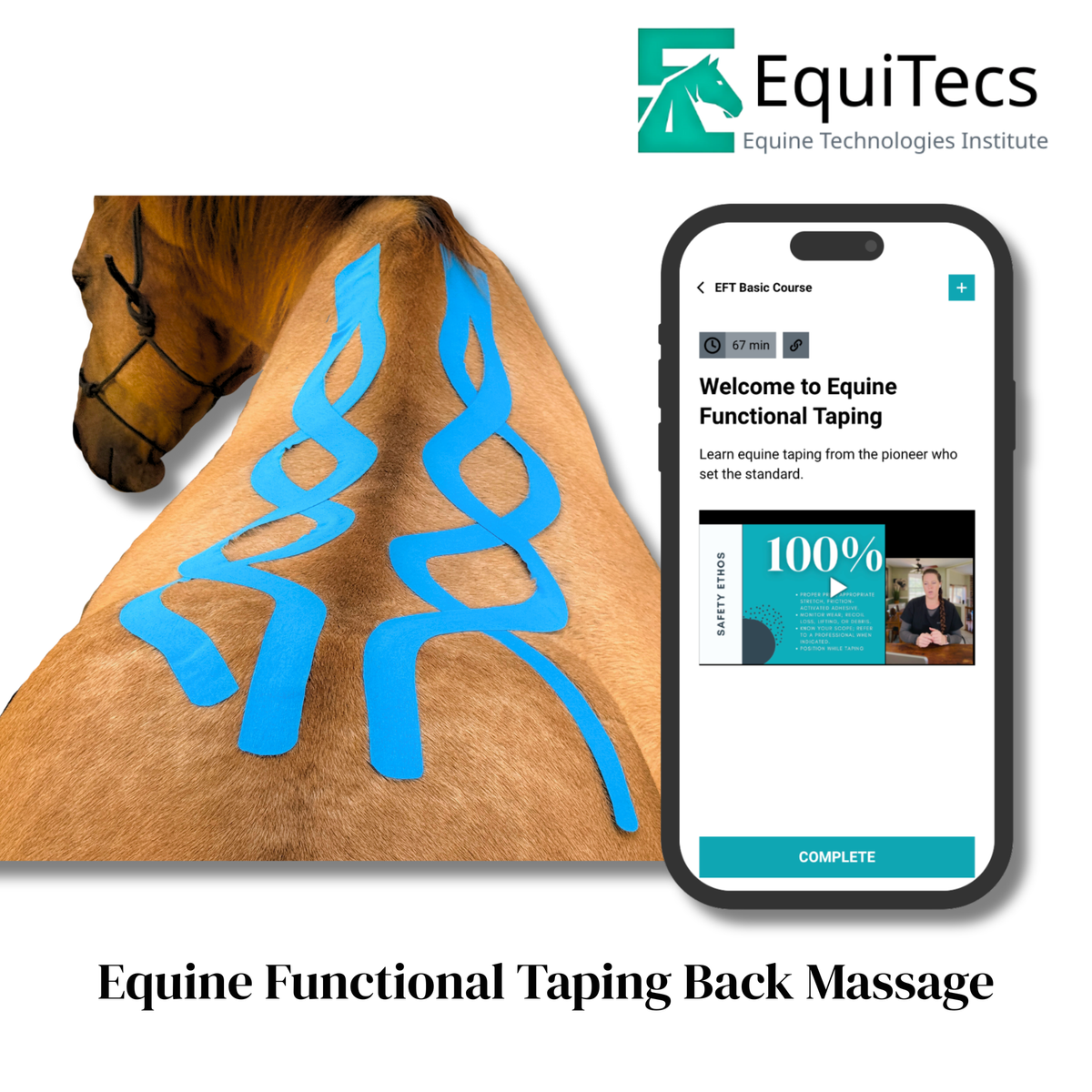 EquiTecs EFT Application Library - App