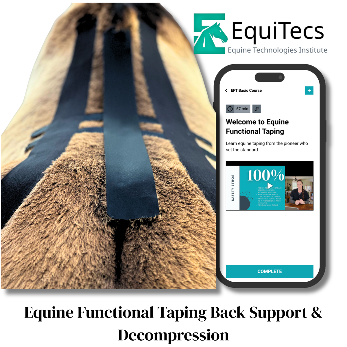 EFT Back Support &amp; Decompression
