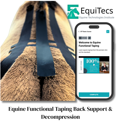 EFT Back Support &amp; Decompression