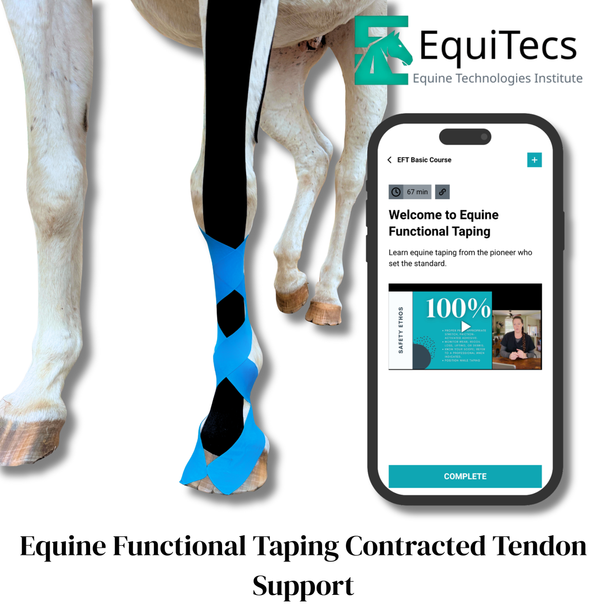 EquiTecs EFT Application Library - App