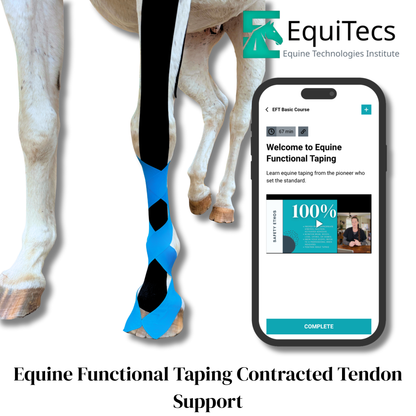 EquiTecs EFT Application Library - App