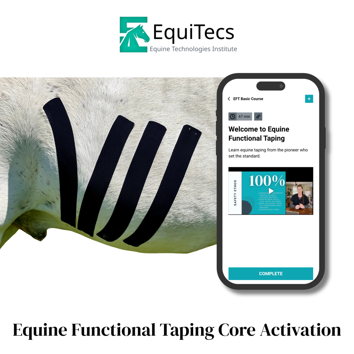 EquiTecs EFT Application Library - App