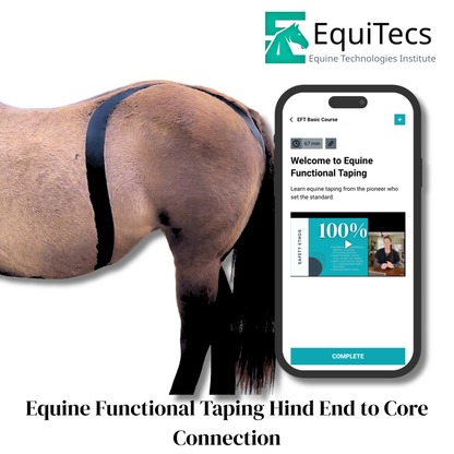 EquiTecs EFT Application Library - App