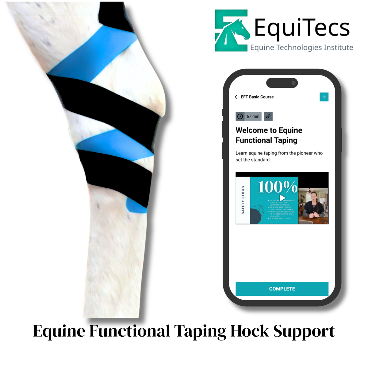 EquiTecs EFT Application Library - App