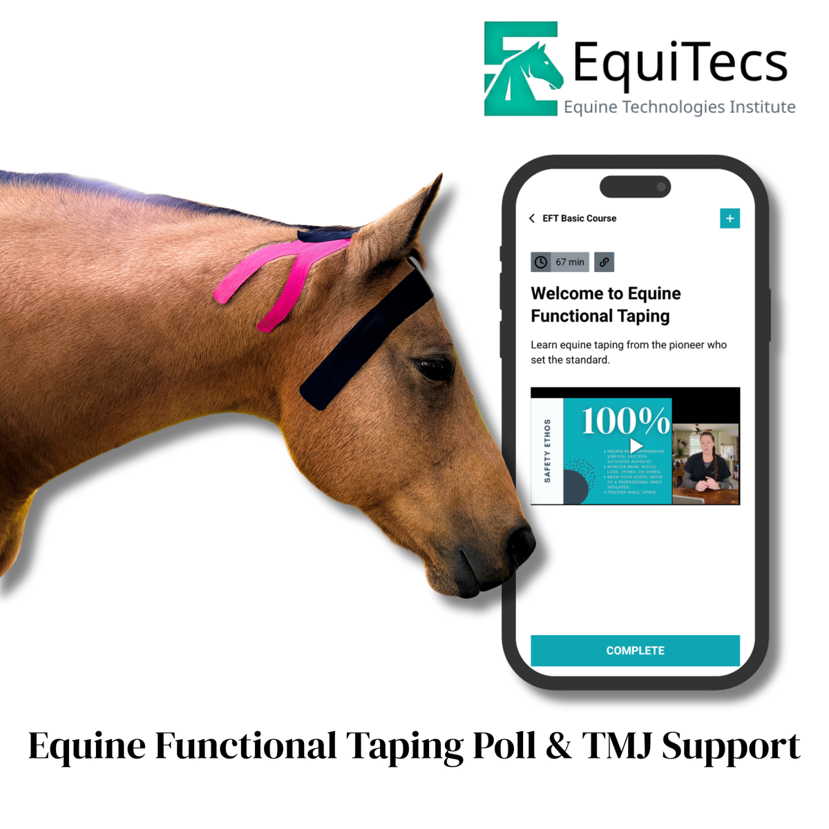 EquiTecs EFT Application Library - App