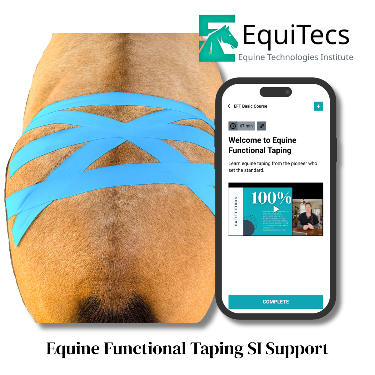 Equine Functional Taping Certification Course — 20 CE Hours
