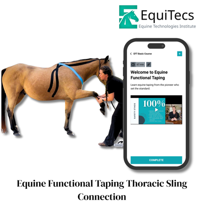 EFT Thoracic Sling Support