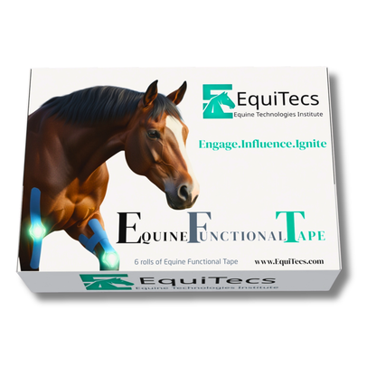 Horse Functional Taping Tape — 2-Way 2" Color Pack