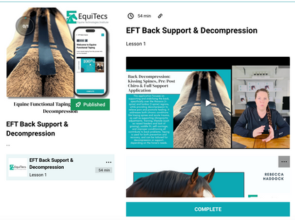 EFT Back Support &amp; Decompression