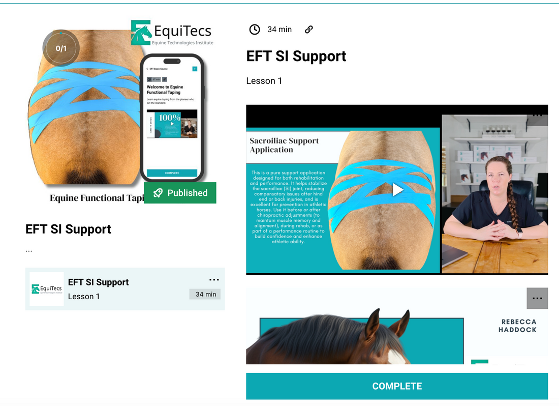 EFT SI Support
