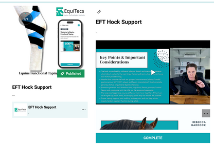 EFT Hock Support