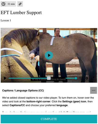 EFT Lumbar Support